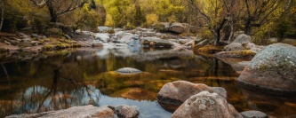 Conoce toda la fauna y flora que se encuentra en los alrededores del Sport Hotel Hermitage & Spa